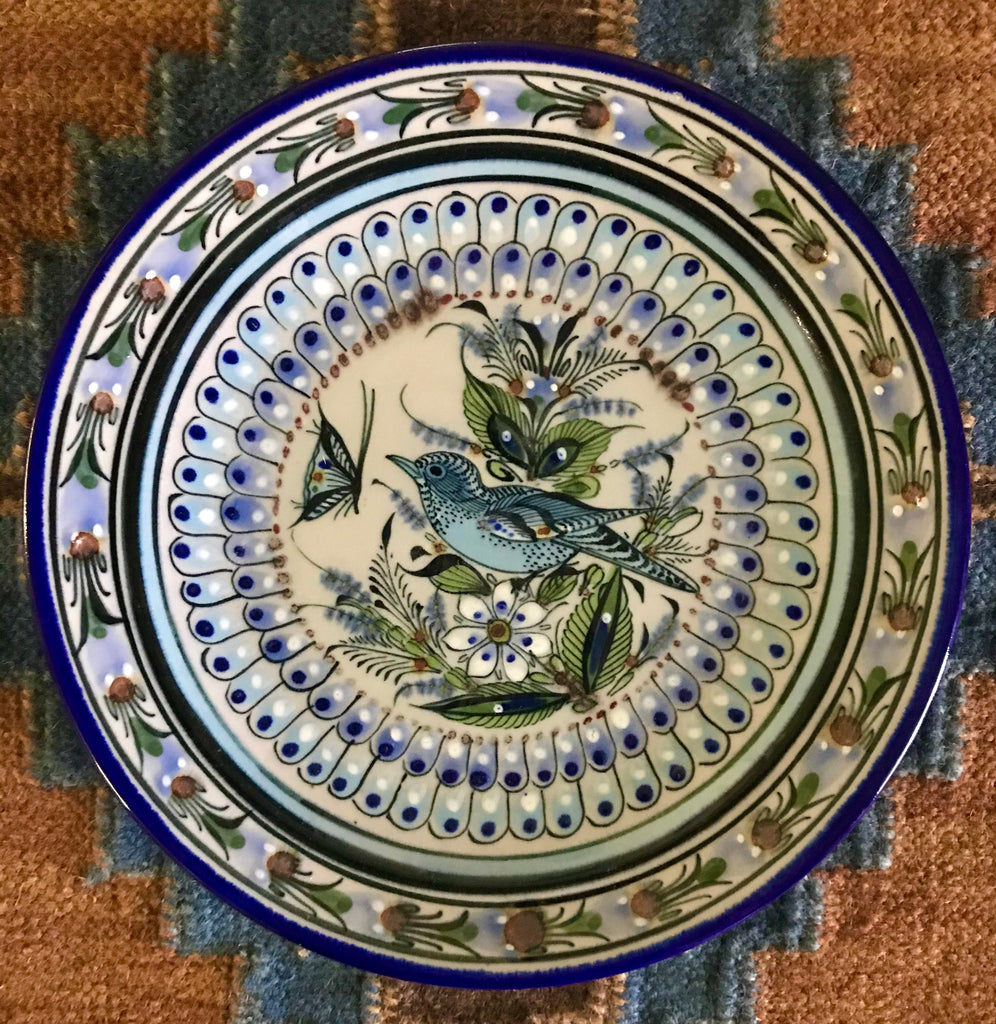 blue rim collection series dinner plate